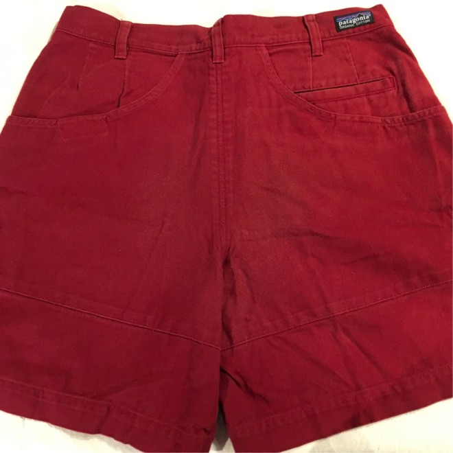 patagonia Shorts